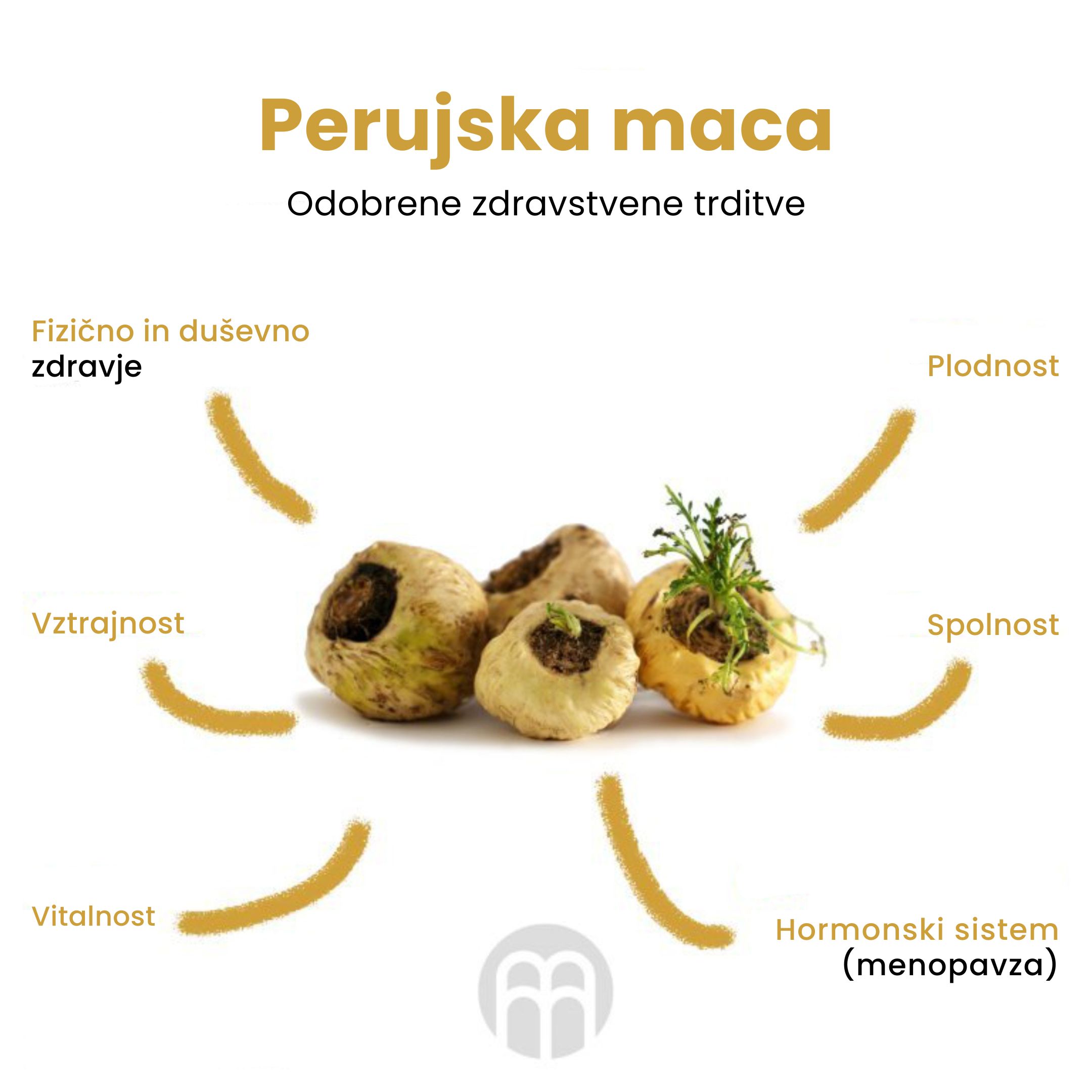 (Slovinština) Maca peruánská Schválená zdravotní tvrzení (1)